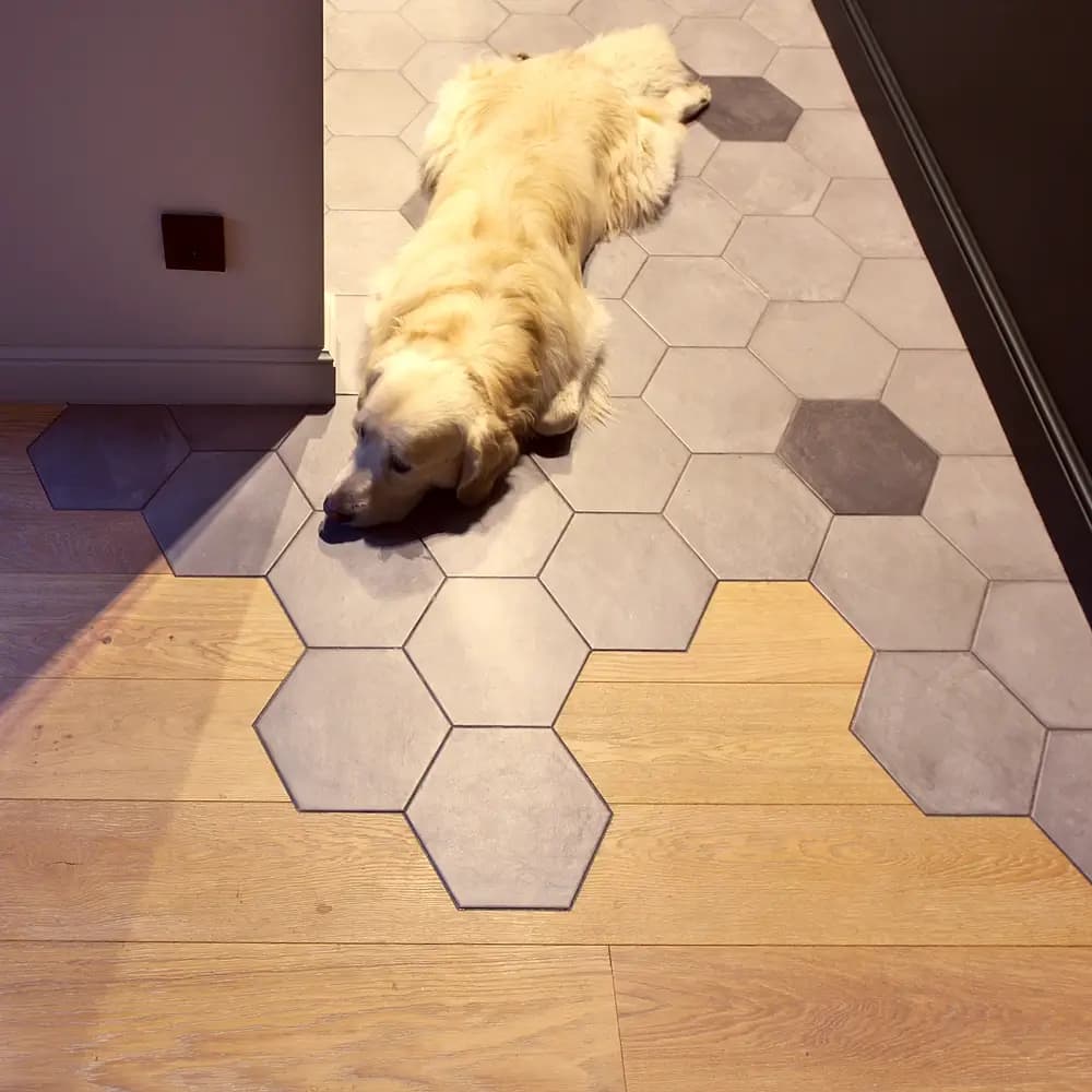 פתרון פונקציונלי: עמדת שטיפה ייעודית לכלב הממוקמת בכניסה לבית.